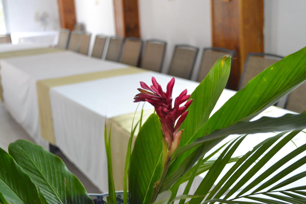 Pacot Breeze Hotel Musseau Zewnętrze zdjęcie